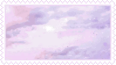 many kitties